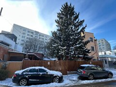 Baicului, Gara de Est, Pantelimon